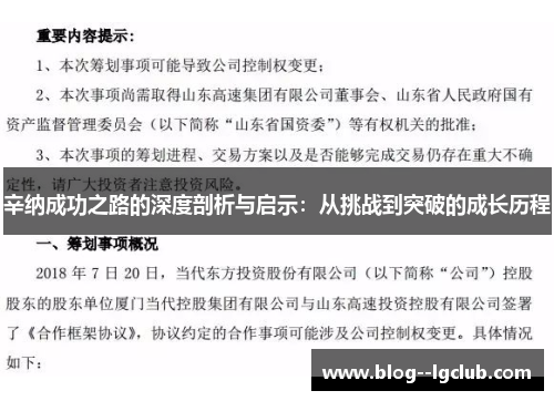 辛纳成功之路的深度剖析与启示：从挑战到突破的成长历程