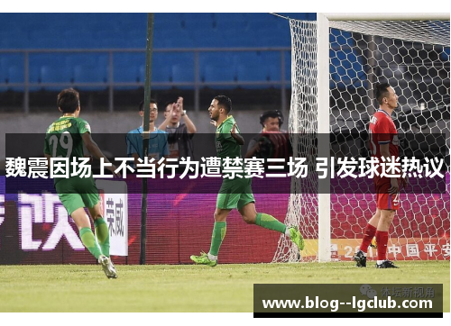 魏震因场上不当行为遭禁赛三场 引发球迷热议